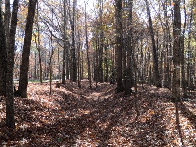 Trail of Tears intact roadbed at David Crockett State Park, used by the Cherokee in the Bell detachment in 1838