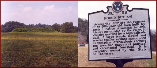 Mound Bottom
