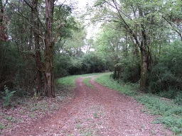 Dirt Road Leading to the Trail of Tears segment at Old Jefferson