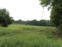 Cultivated field on the trail leading to the Trail of Tears segment at Old Jefferson