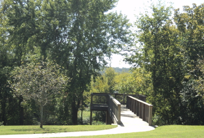 The Bridge Overlook