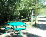 Picnic tables are located under the trees along Pleasant Run creek.