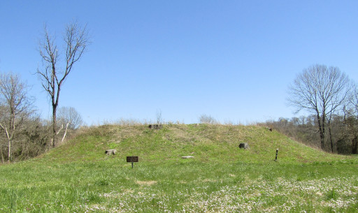 Platform Mound At Sellars Farm