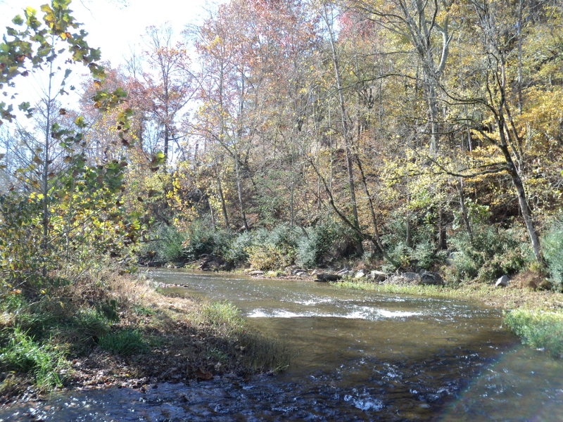 Shoal creek tipton ford #7