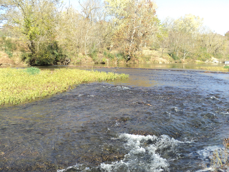 Shoal creek tipton ford #2