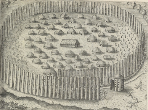 Timucuan town with palisade